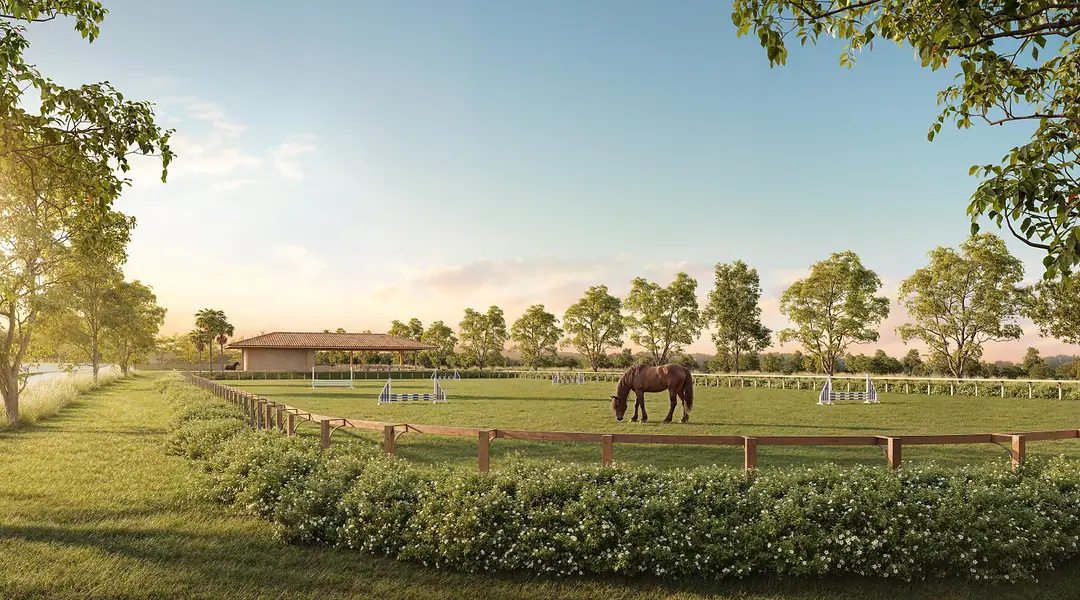 Cavalo no piquete da hípica, com a sede e as pistas de hipismo ao fundo